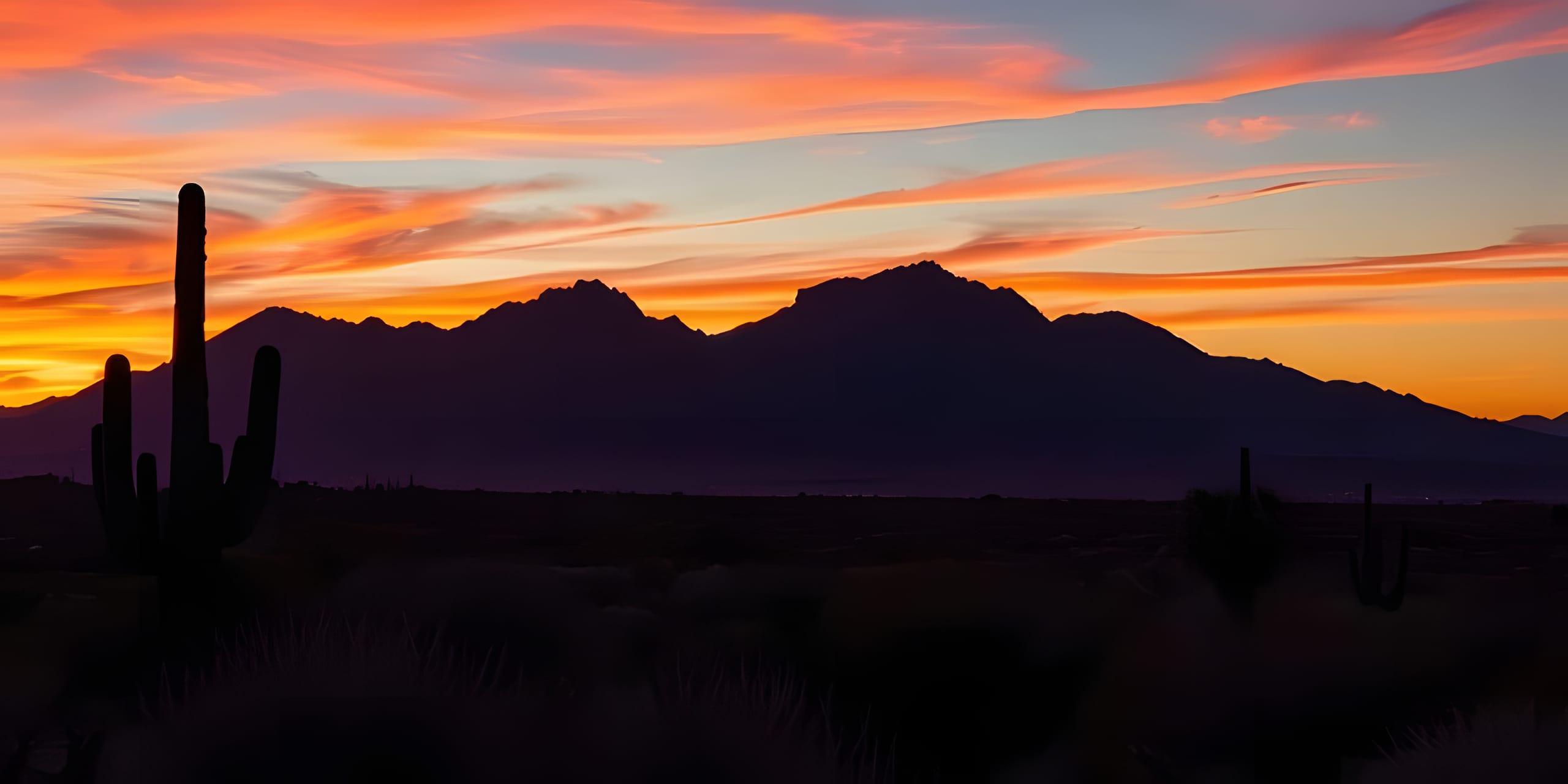 A saguaro cactus silhouetted against desert mountains at sunset